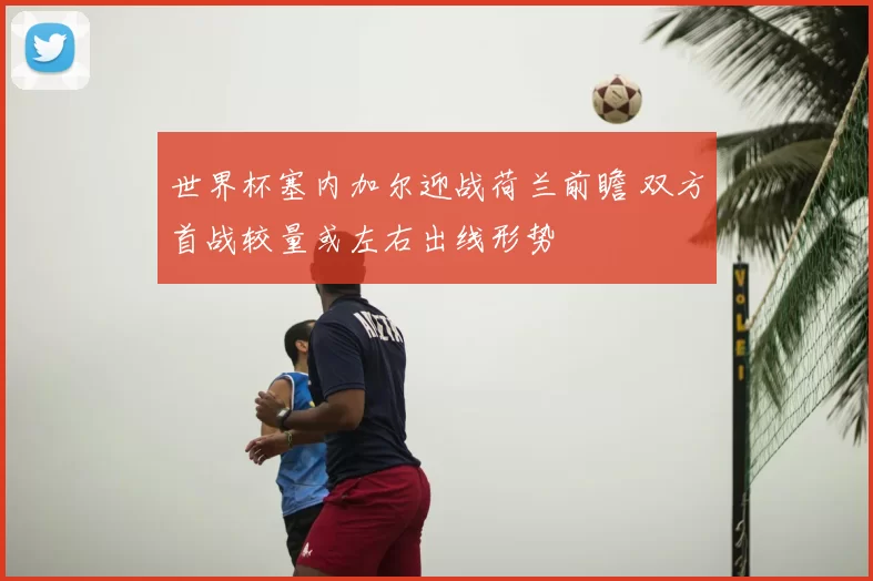 世界杯塞内加尔迎战荷兰前瞻 双方首战较量或左右出线形势