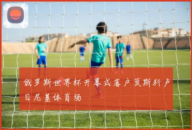 俄罗斯世界杯开幕式落户莫斯科卢日尼基体育场